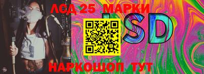 индика Лесосибирск