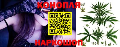 индика Лесосибирск