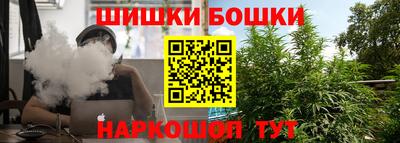 индика Лесосибирск
