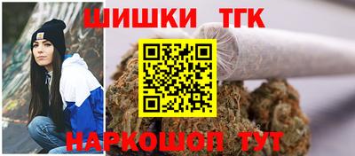 индика Лесосибирск