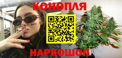 индика Лесосибирск
