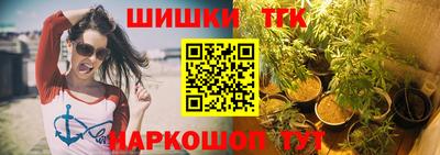 индика Лесосибирск