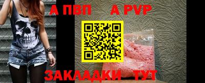 индика Лесосибирск