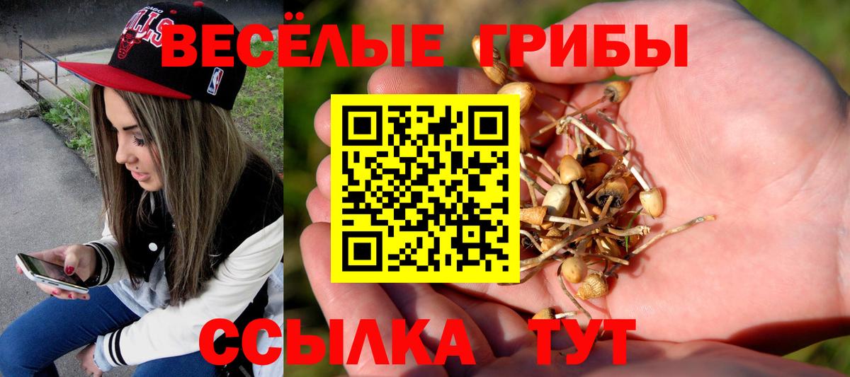 Бузулук  Галлюциногенные грибы GOLDEN TEACHER  где продают   Вход с VPN  Псилоцибиновые грибы Psilocybe 